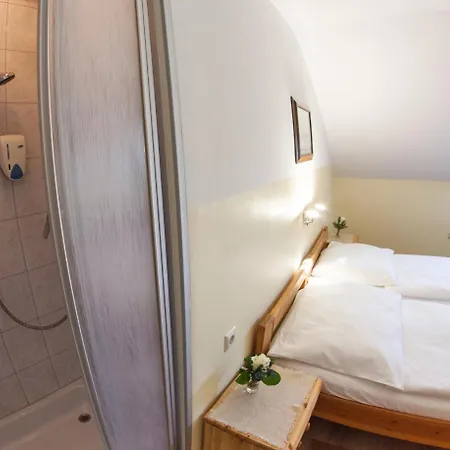 招待所 Fruehstueckspension Koelich 克拉根福