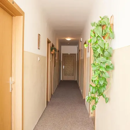 招待所 Fruehstueckspension Koelich 克拉根福